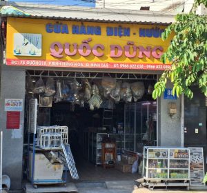 điện nước quốc dũng
